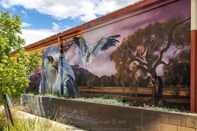 Wedderburn Street Art